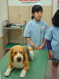 DSC03950.JPG