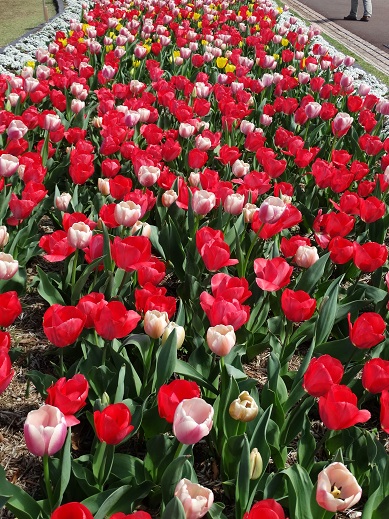 2015.04.18-4.JPG