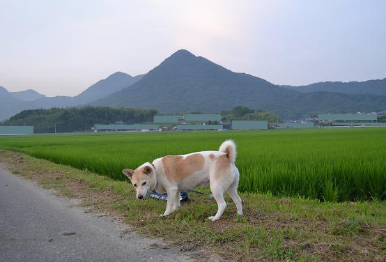 DSC_0139.JPG