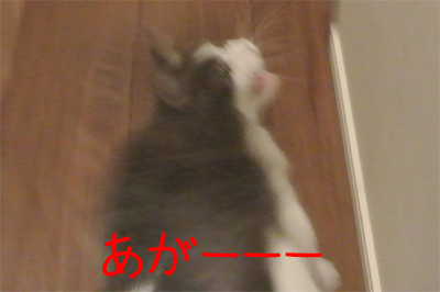 mumu33.jpg