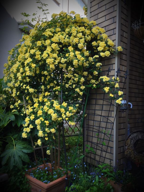 rblog-20150428161700-02.jpg