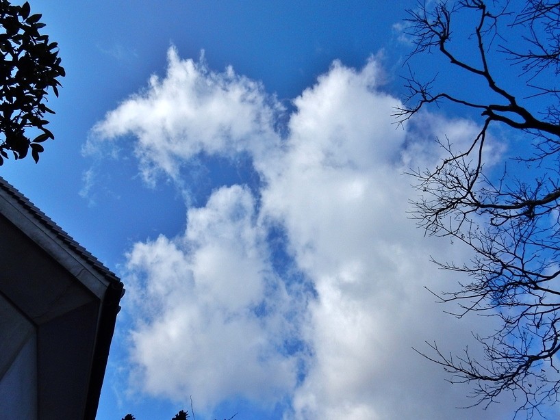 空 4.JPG