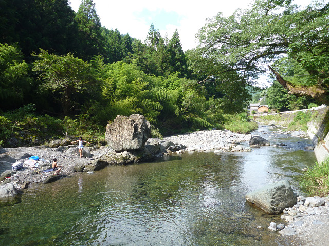 resize2655.jpg