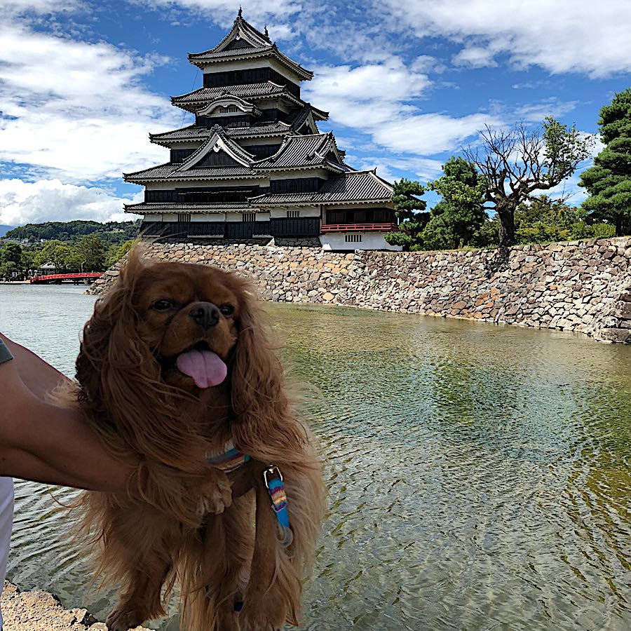 rblog-20180822205519-06.jpg