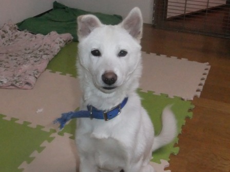 DSCF6270.JPG