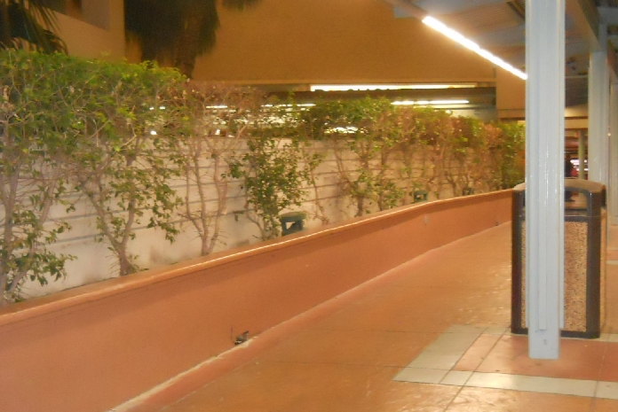 DSCN2795.jpg