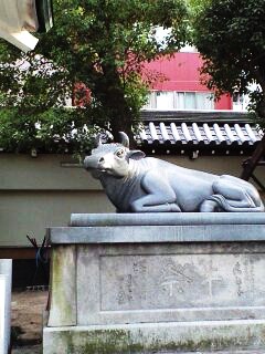 大阪天満宮　牛