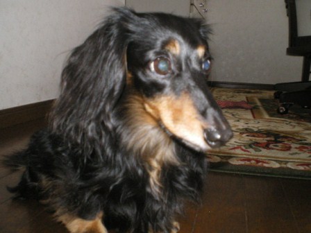 IMGP6606.JPG