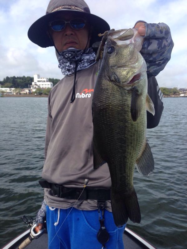 rblog-20150812011441-04.jpg
