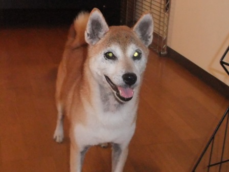 DSCF4576.JPG