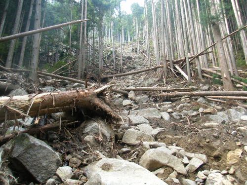 画像 やまくずれ.jpg