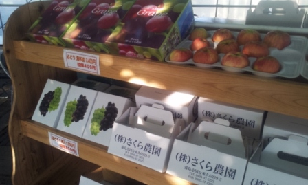 さくら農園4