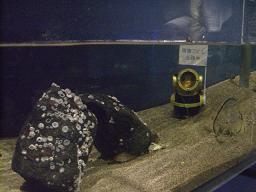 東京スカイツリー 054.jpg