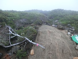 昨年の作業.JPG