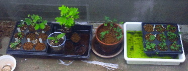 2014-07-31 18:59:32