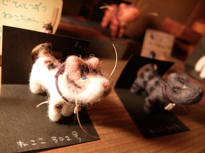 DSCF2800.JPG