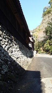 kesiki
