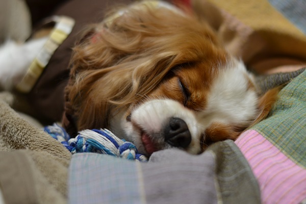 DSC_3766.jpg