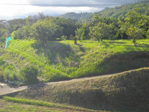 波多野城 (4) (500x375).jpg