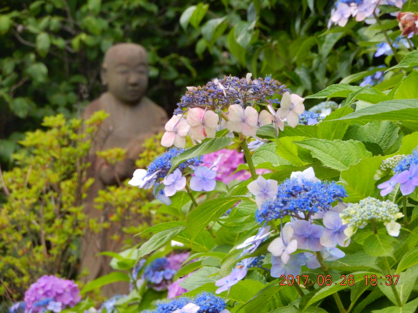 体調不良で 鶴ヶ峰いきいき整骨院へ 本日の脳内エンドレスミュージック は Ya Ya あの時代を忘れない サザンオールスターズ 作詞 桑田佳祐 作曲 桑田佳祐 17年06月26日の日記 平民愚平 備忘録 楽天ブログ