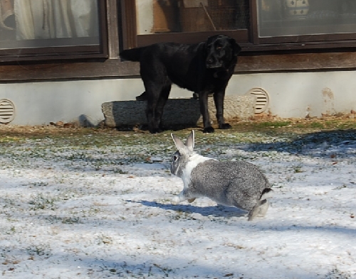 DSC_0125.JPG