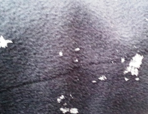 20130116 snow in seoul in the morning 2.jpg