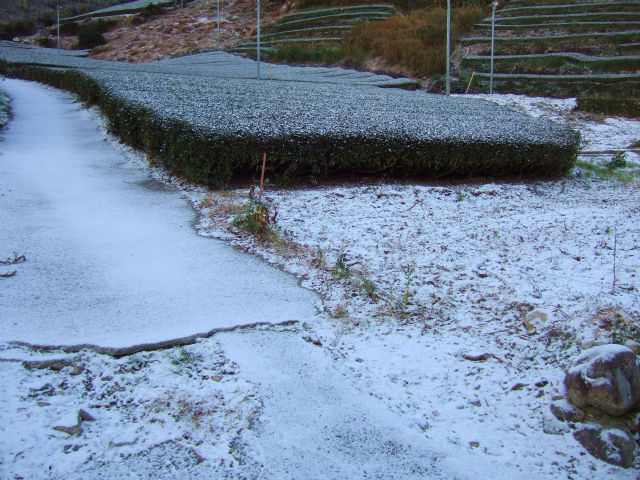 2014_12182014-1108初雪観測0001-s.jpg