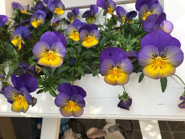 rblog-20180324203515-03.jpg