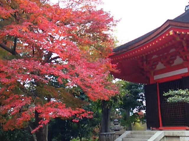 2014京都_東福寺