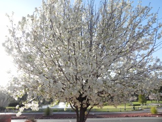DSCN7728.jpg