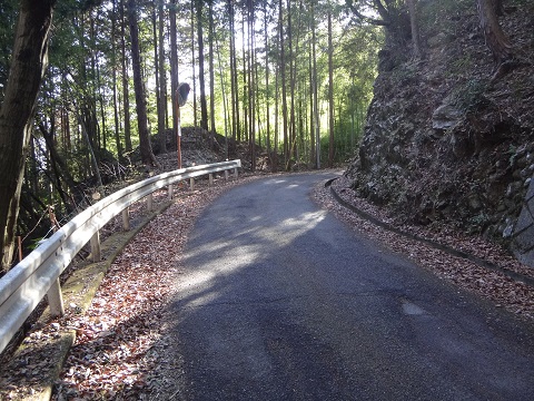DSC07502.JPG
