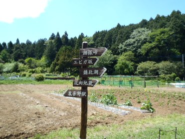ユカデ