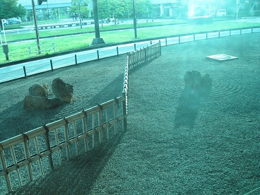 成田のおもてなし1.jpg