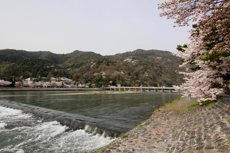 嵐山_18-2.jpg