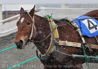 20140126Ob1R3yo_C-1_03