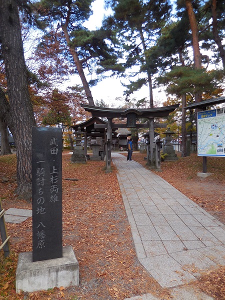 DSCN5895.jpg