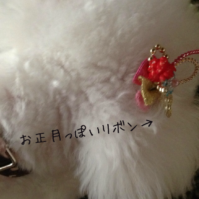 IMG_5215.png