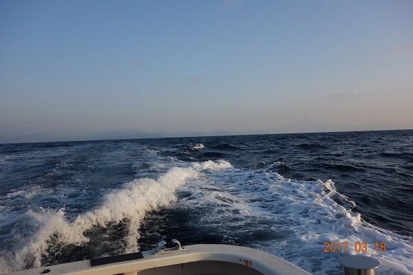 ヤリイカ終盤 厳しい釣りでした 駿河湾の釣り人日誌 楽天ブログ