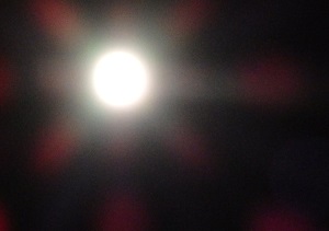 PB070031.JPG