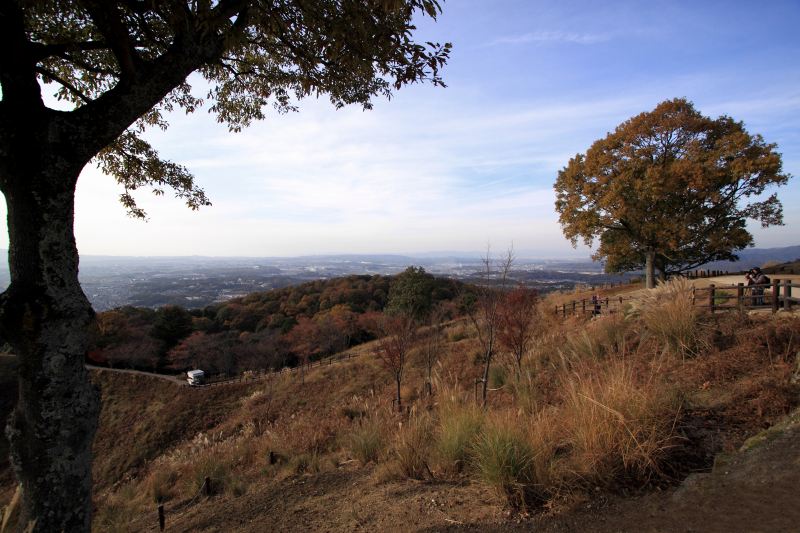 若草山_3.jpg