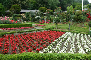 佳松園97.jpg