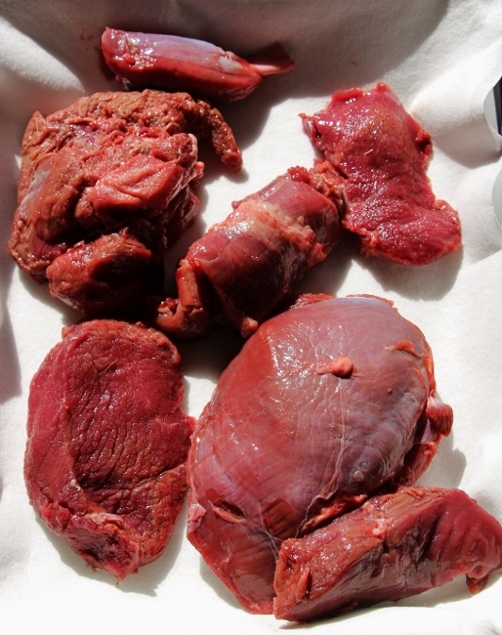 鹿肉.jpg