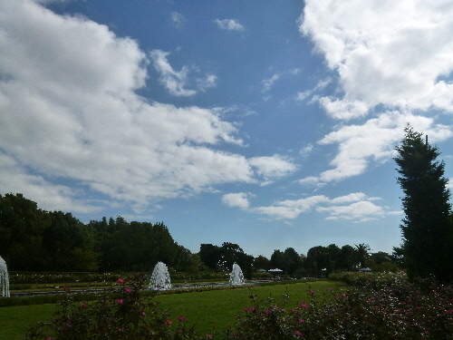 P1130398(1).JPG