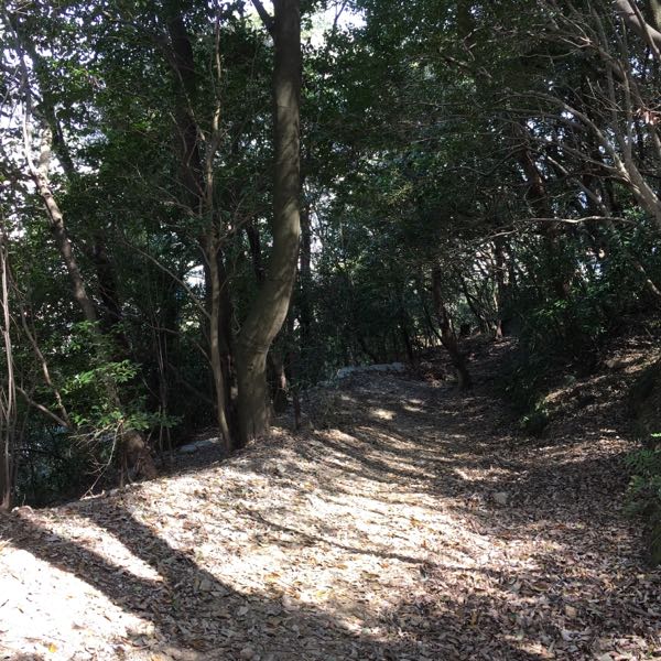 rblog-20180331172913-02.jpg