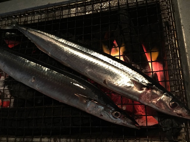 秋刀魚2015(2).jpg