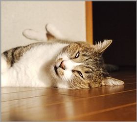 0806くり憑依寝3.jpg