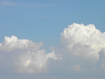 2012.8.262.jpg