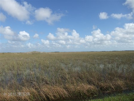 Everglades National Park 20151229-2