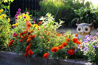 IMG_5408.jpg