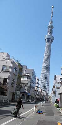 j IMG_2505.jpg